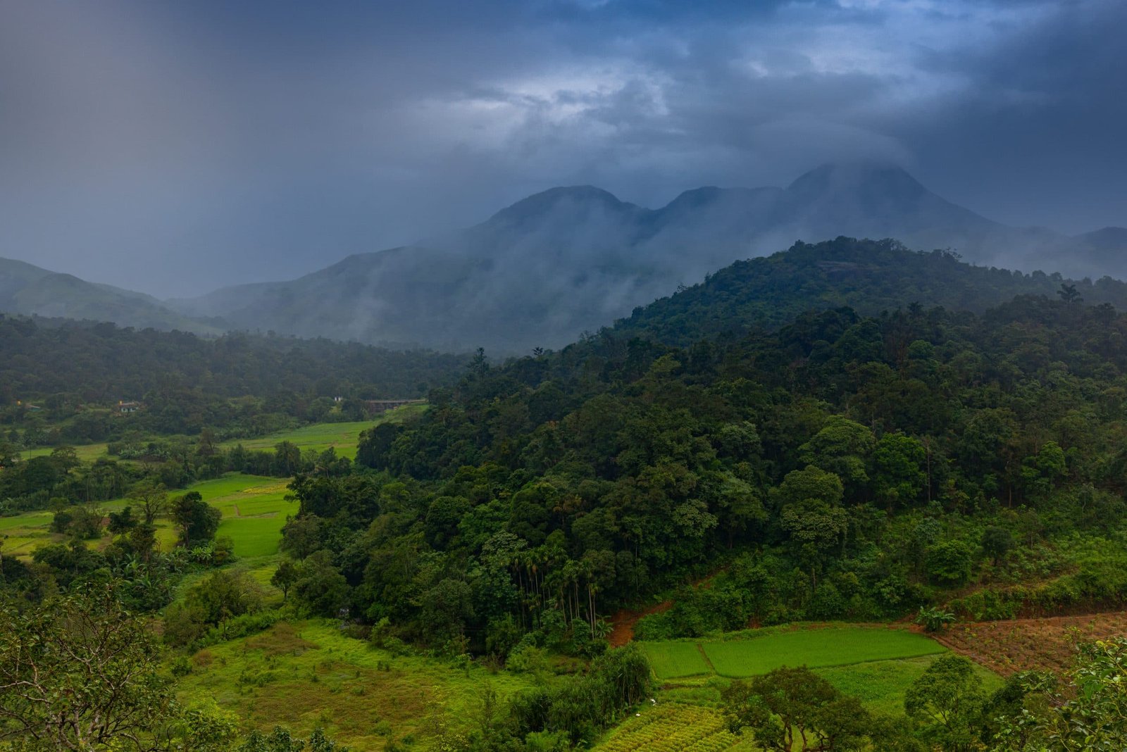Coorg trip from Bangalore by taxi